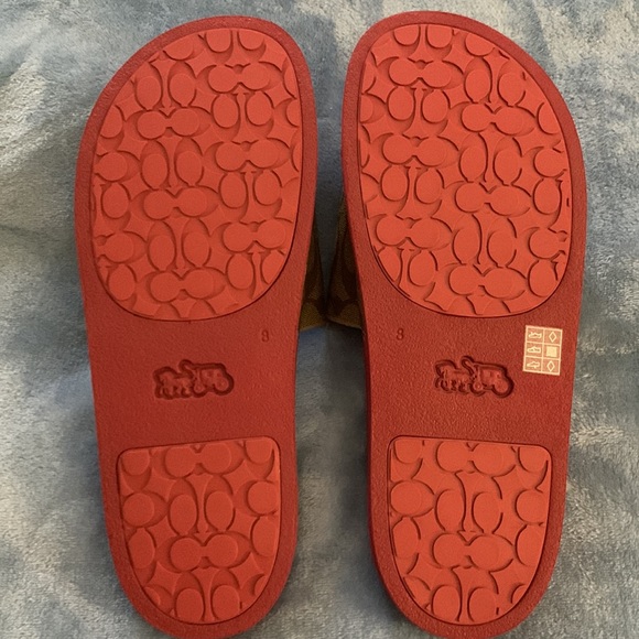 Coach slides - Picture 3 of 7